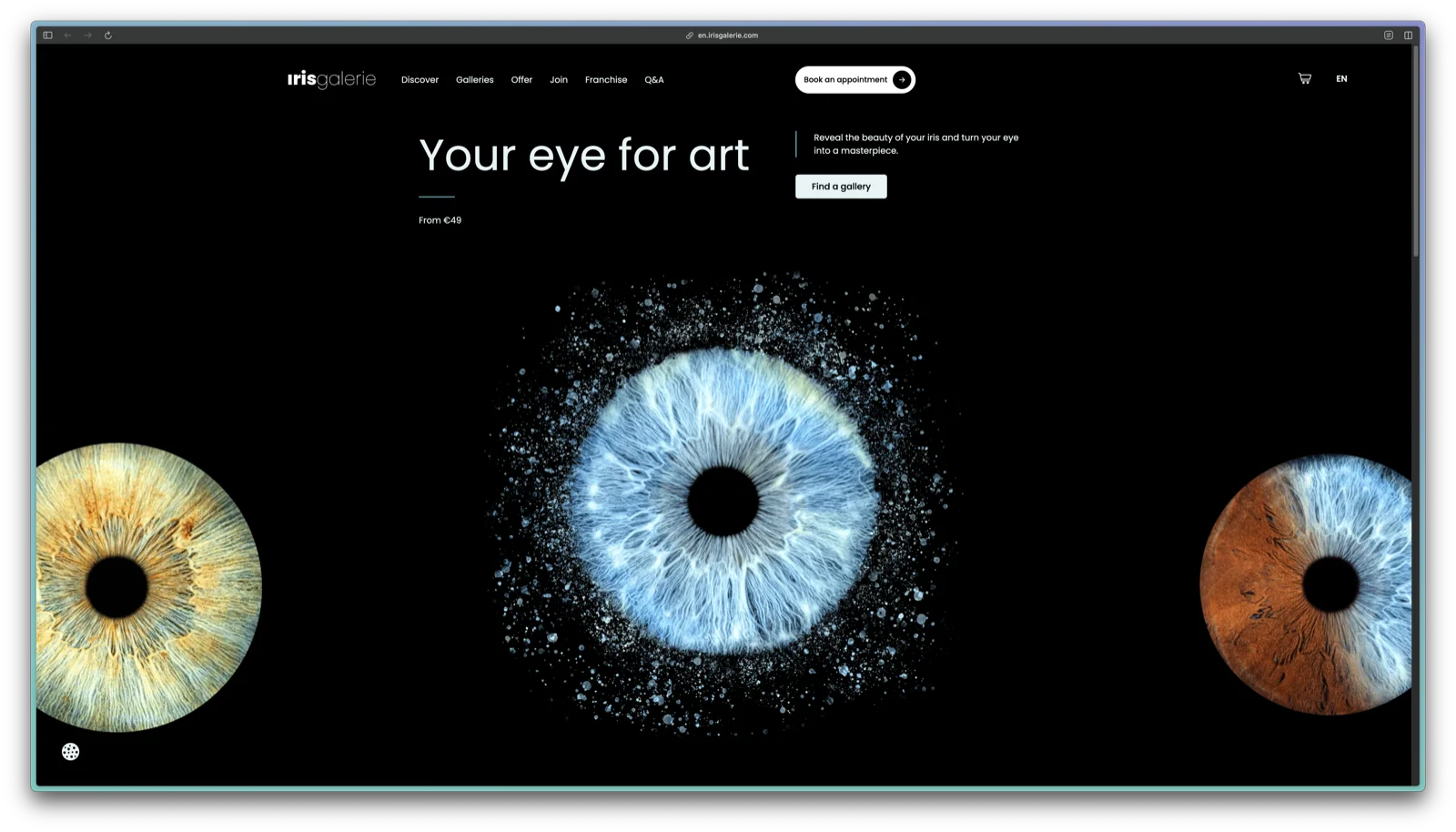 Iris Galerie website